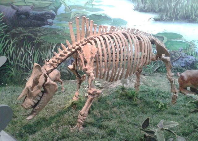6500万年前如果恐龙没灭绝,会进化成啥样?科学家模拟画面