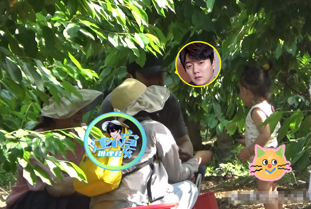 肖央|肖央带妻女现身!1岁女儿首曝光软萌可爱,博士妻子1年内怀两胎