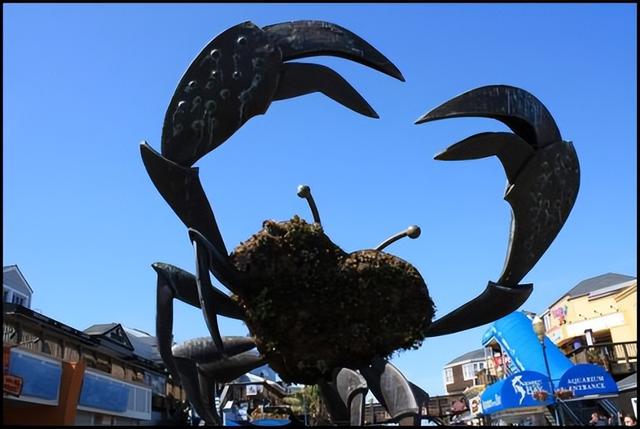 动物冷知识:“鳄雀鳝”都哪来的?关于生物入侵,你不知道的还有很多