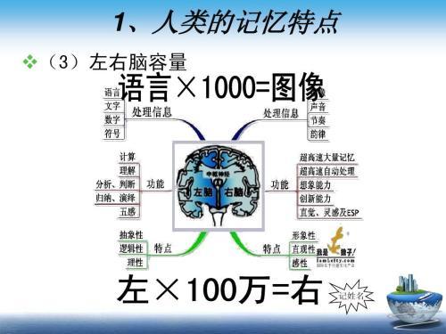 右脑开发训练快速促进大脑发育潜能