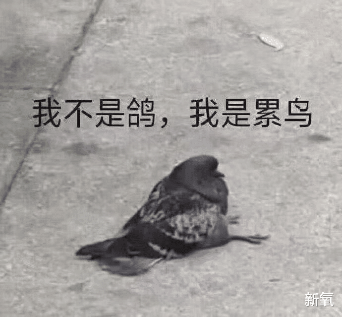 宋慧乔|十年了,宋慧乔的脸好像一直没变过,30岁的时候啥样现在还啥样