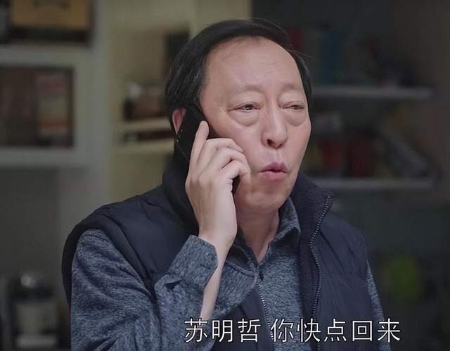 苏明哲|《都挺好》原著:苏家三观最正的人