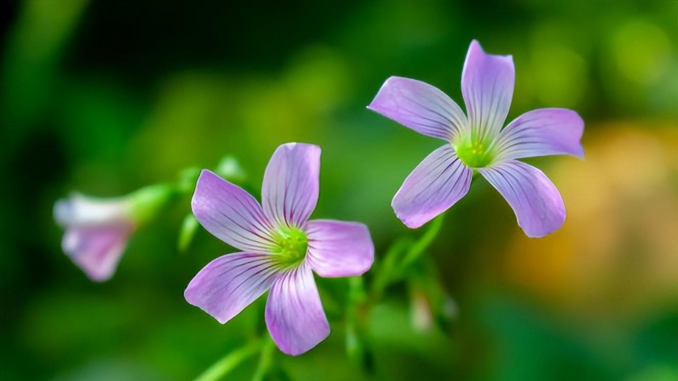 创业|退休后的第一年，做到“四大转变”，福气越来越多