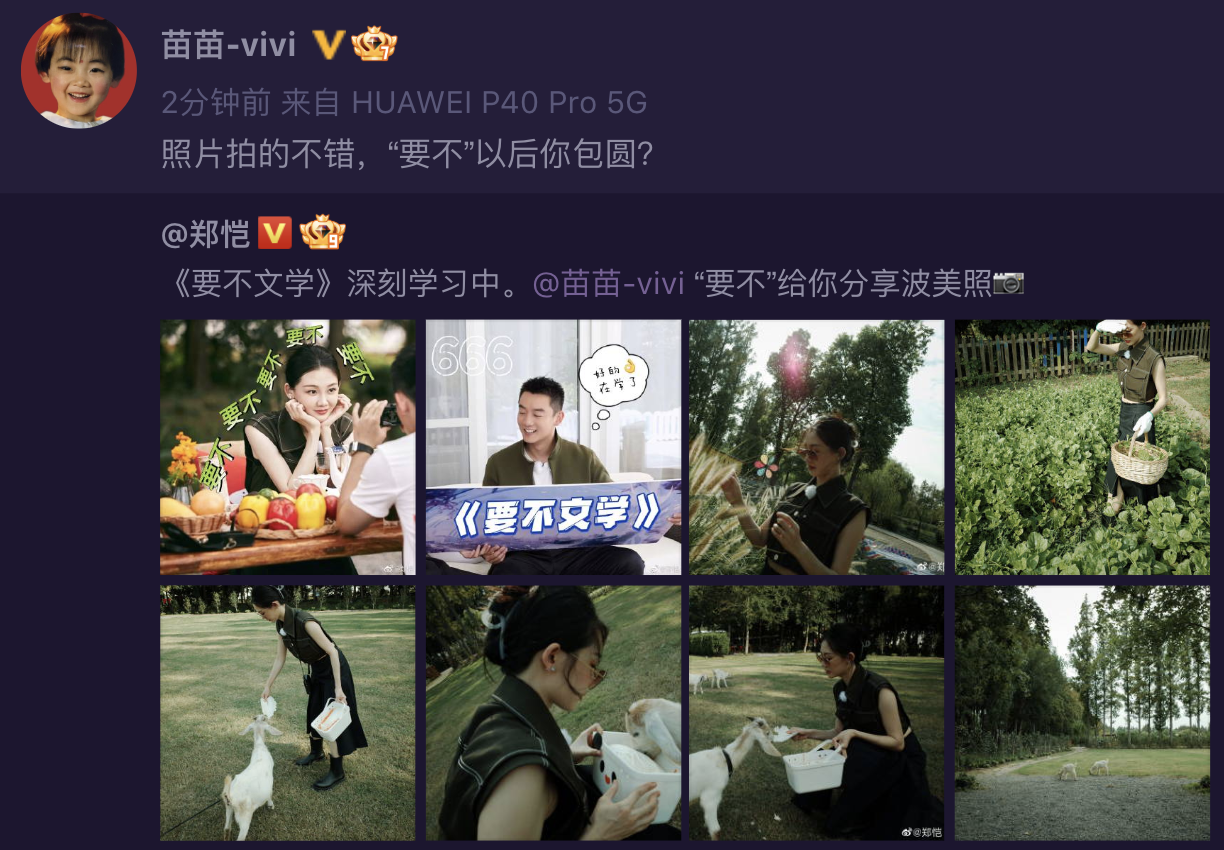 郑恺|郑恺携苗苗参加《妻子6》,土味情话表白爱妻:后悔没早点遇到你