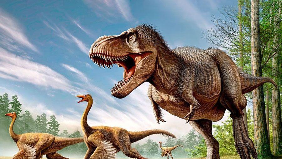恐龙进化2亿年没有出现智慧，人类进化400万年，为何如此聪明？