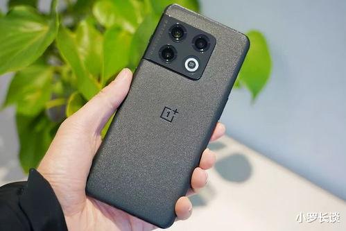 荣耀magic|曾经发布就抢空,现在降2360元现货供应,12GB+512GB和120W快充