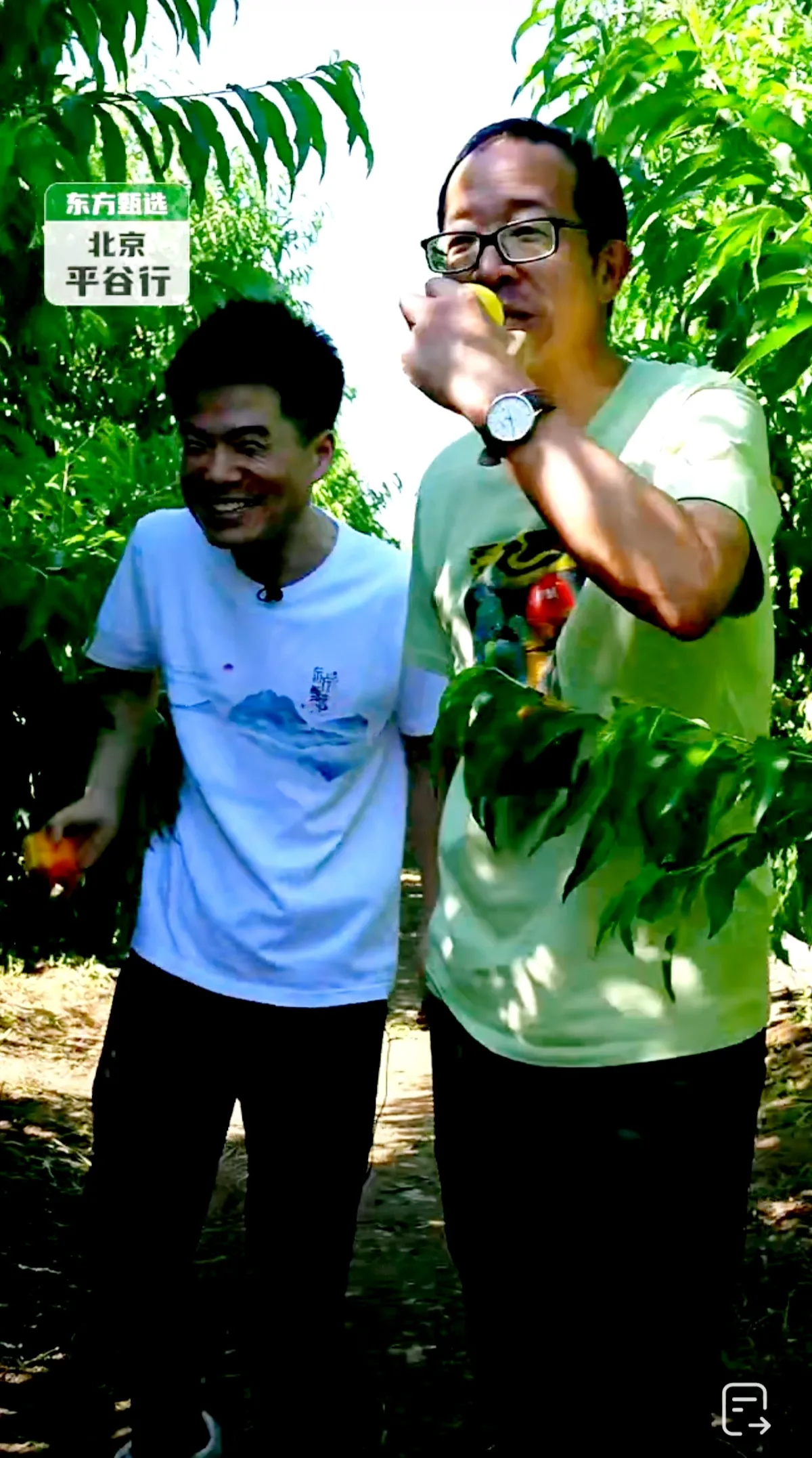 董宇辉|董宇辉回应不系鞋带的原因让人心疼不已。