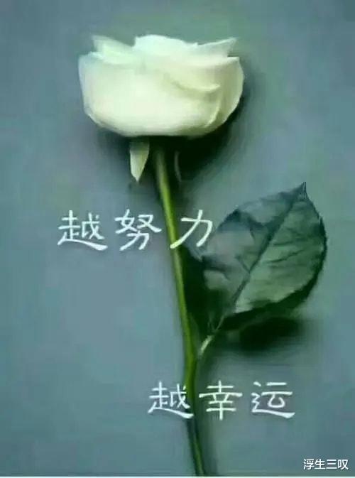 48岁的流浪汉与33岁人妻有染,被其丈夫暴打后,结果一“炮”而红