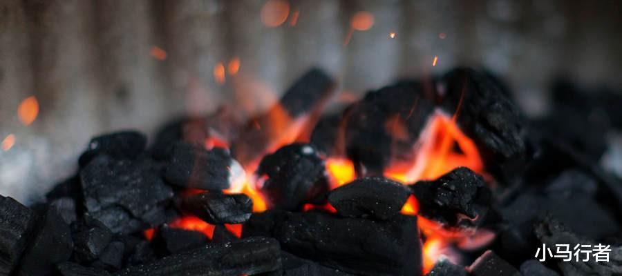 煤层是植物演化而来的?那百米厚的煤层,需要多少植物堆在一起?