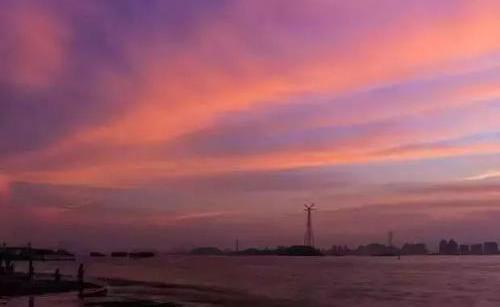 星座女|猫巫先生十二星座周运2022年9.26-10.2:社交丰富,喜好自由