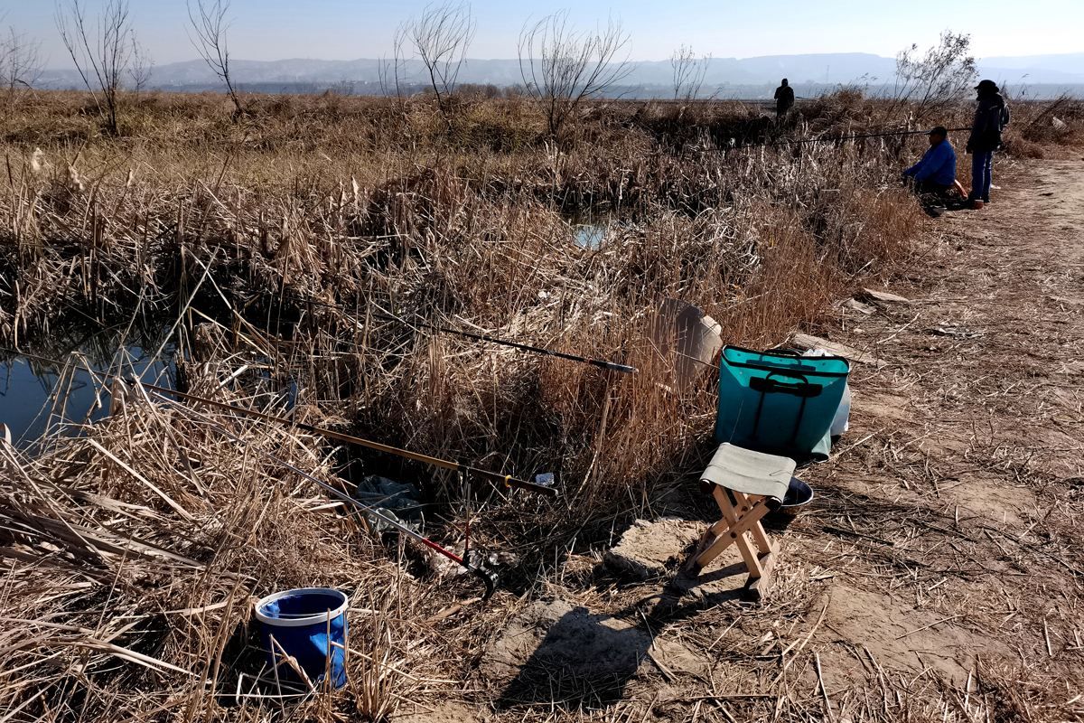 深水区|寒冬野钓选钓点，除了地形和地貌，还得看准风向和朝向