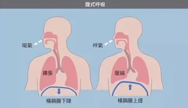 人体在被刺伤后,为什么还没失去意识,就已经无力还击了?
