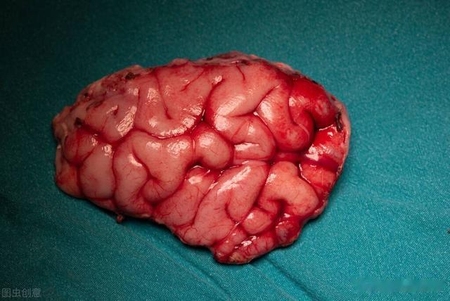 癫痫病|是什么因素引发癫痫病?如何控制与预防复发?