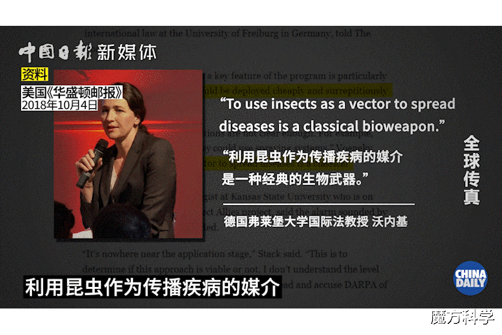 想干嘛?美国拟2年释放24亿只转基因蚊子!对人体有没有攻击性?