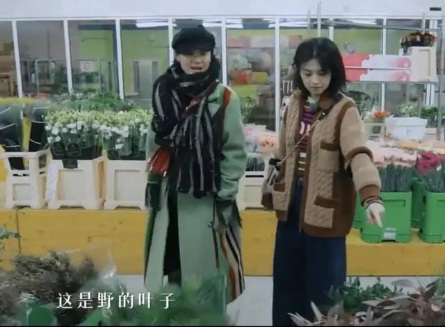 宋佳|宋佳,胆真大