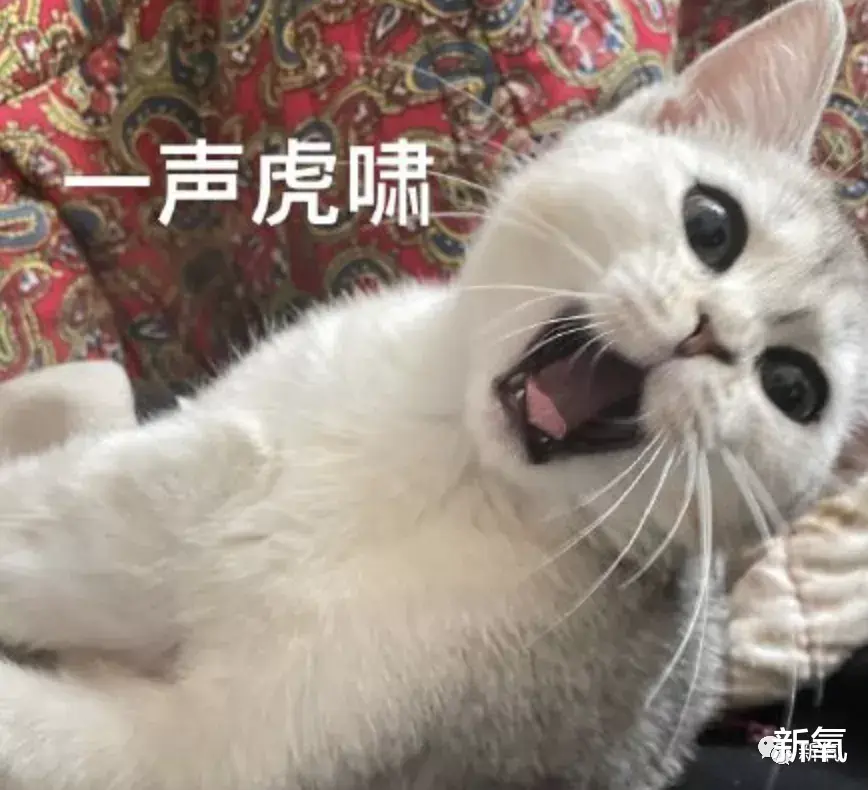 穿衣搭配 得罪化妆师的下场是24岁在红毯上被画成44岁吗…
