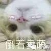 水果 这就是新旧女团风格转变的标准吗？