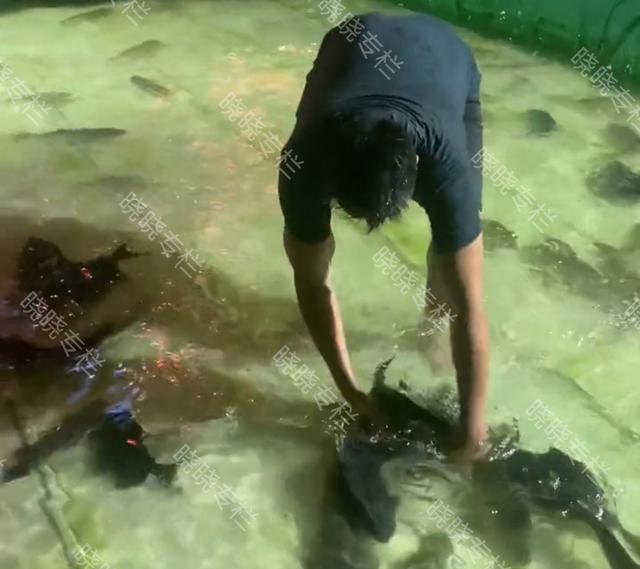 广东省|广东一男子去地摊抓鱼，他五分钟抓了二十多条，网友：做人要厚道