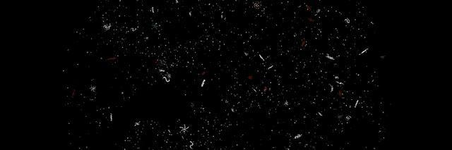 人类最有可能因为什么灭绝?霍金预言:警惕人工智能与外星人