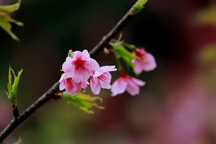 |人在职场，学会沉默