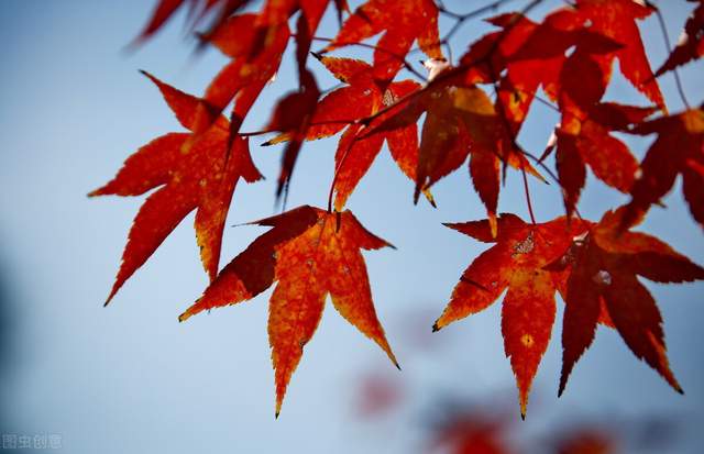 范成大|郭进拴|横塘的秋天