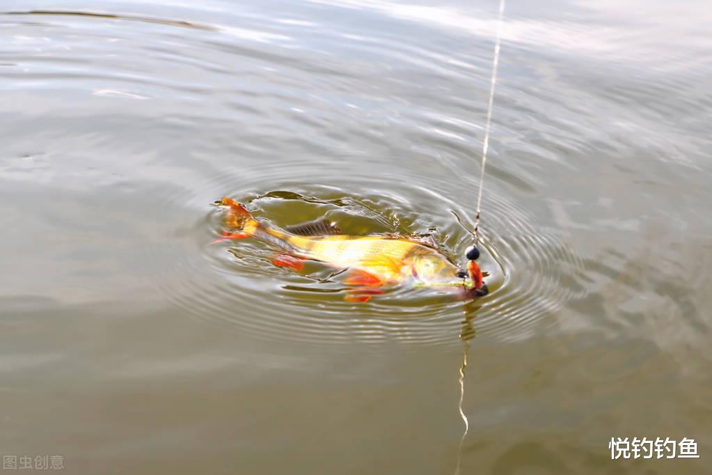 |每次钓完鱼后主线该怎么收纳?