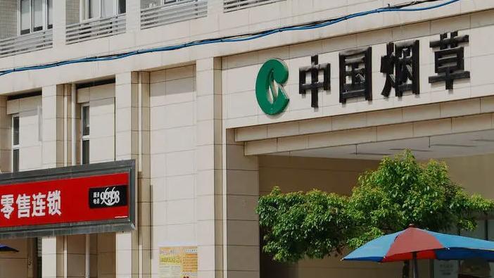 调查|为啥就算没“暗箱”，三无大学生也难进“烟草局”？过来人这样说