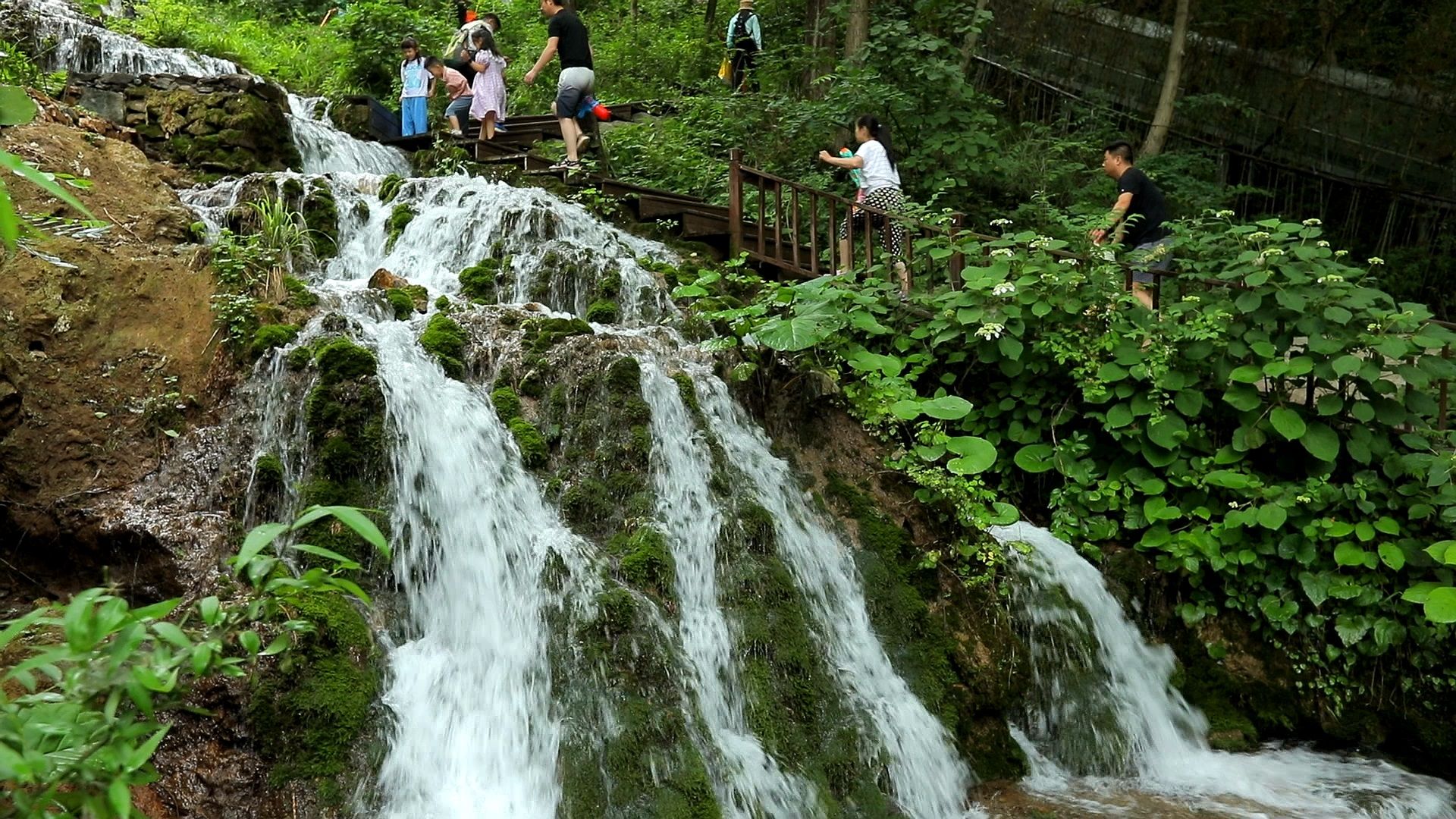 河南|河南洛阳这个避暑景点，夏天气温仅25度，盛夏旅游好去处还免费