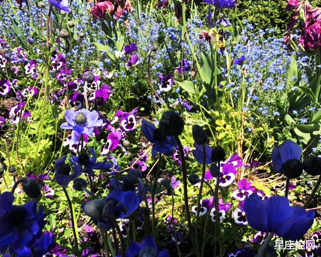 |哪几个时辰出生的人,好运会找上门,挖掘潜力让人生上更高台阶