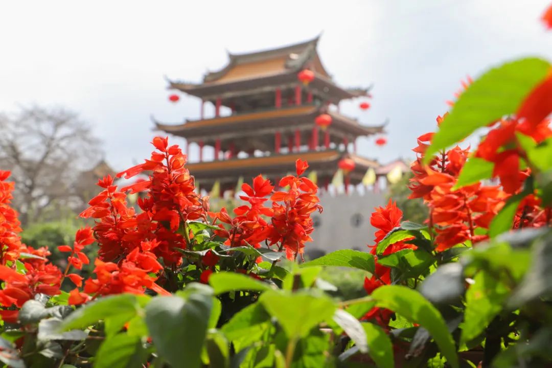 桂林|一口好“氧”，人心舒畅，属于观音山的春季限定你值得拥有