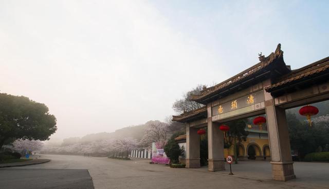 鼋头渚|鼋头渚景区内的观光车是个坑吗?搞清园内三种交通方式,有效避坑