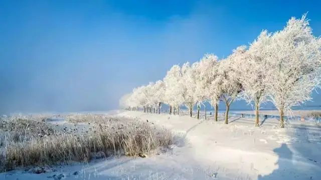 拍雪摄影技巧+攻略：如何展现冬季的冰清玉洁。