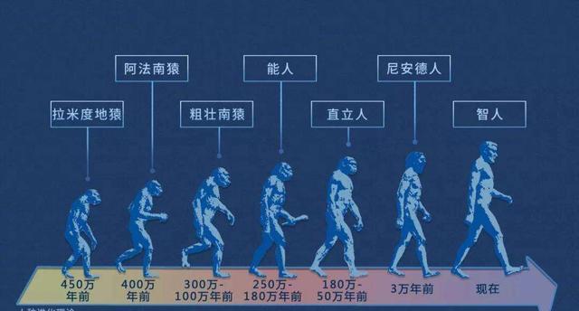 人类专属“聪明基因”被发现,难道我们真是被改造的?