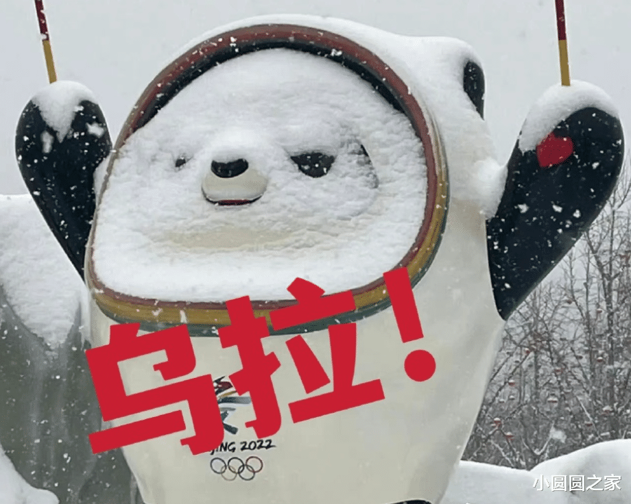 苏翊鸣|苏翊鸣18岁生日:雪场上饮尽风霜,饭桌上饮酒达咩