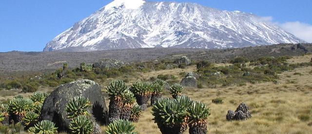 乞力马扎罗|集6种植被于一地，温差最高达90度，非洲屋脊为什么是赤道雪山？