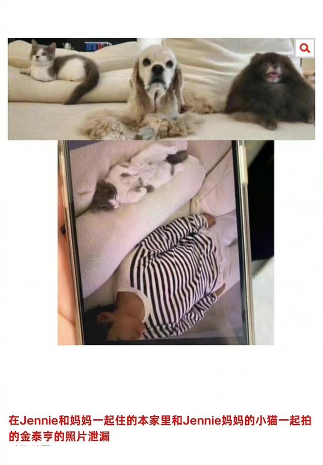 blackpink|女团成员私密照片遭不良黑客泄露,网友直呼太可怕了