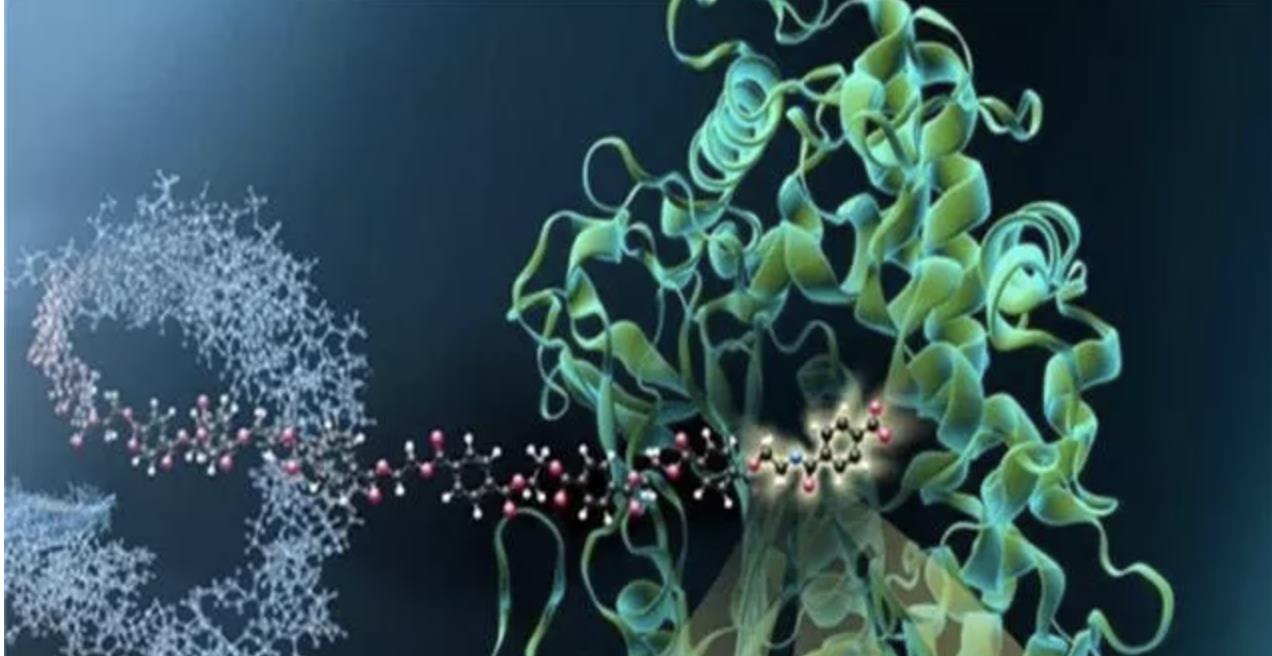 科学家发现:37℃不再是人体标准体温!体温降低对人类有何影响