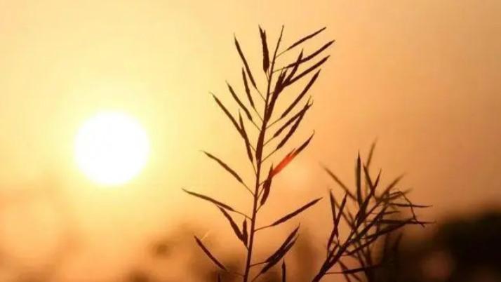 池州|五十岁，是一个人危机四伏的开始，有三件事要格外注意