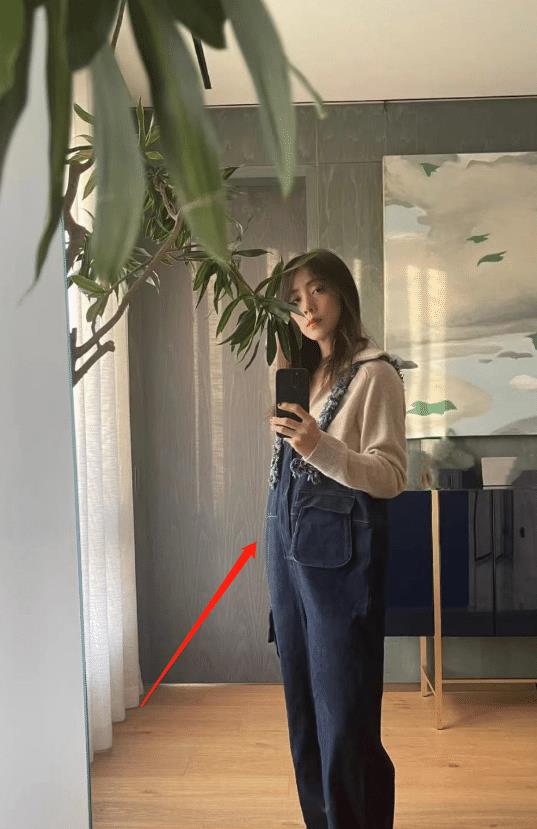 孙莉|45岁孙莉晒大肚照引四胎争议，比例失调面色憔悴，黄磊被骂无节制