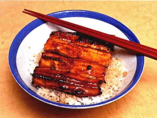 鳗鱼|海钓鳗鱼选择夜钓是关键「 日本专业海钓入门防波堤钓书籍 」