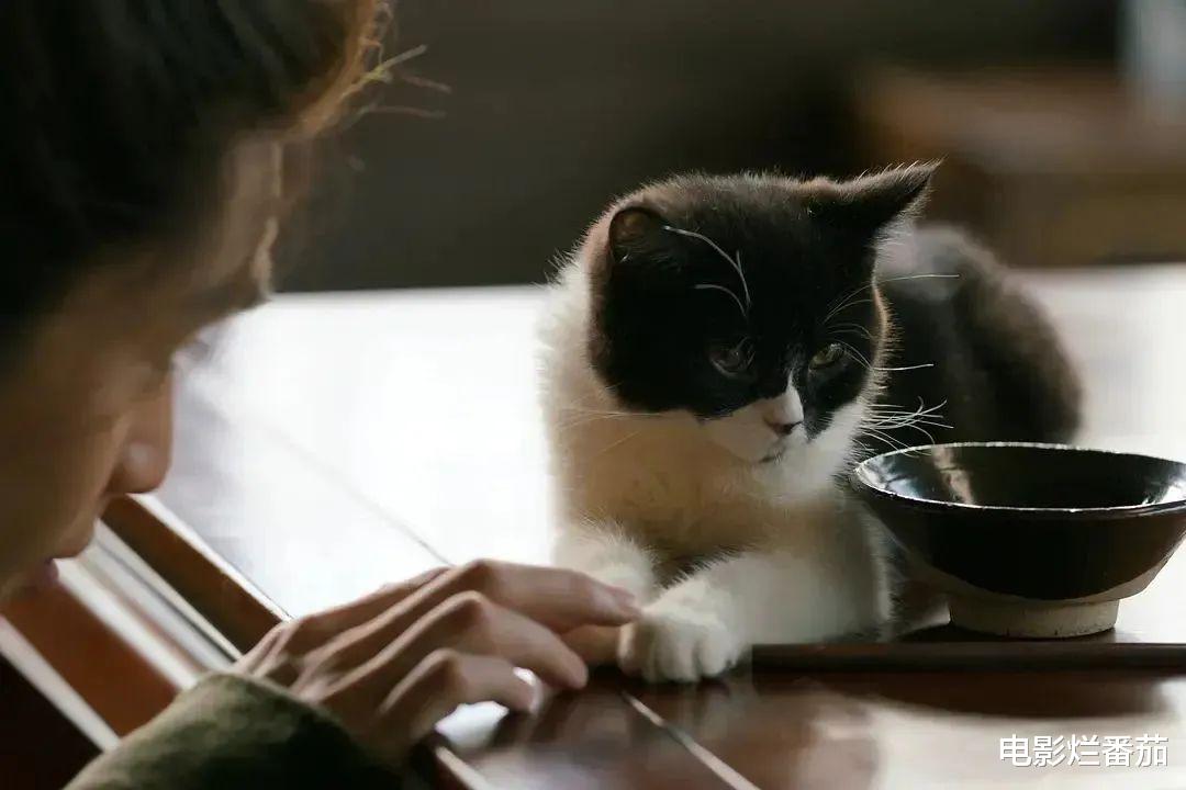 王阳|飙升榜第一,看张若昀和王阳飙戏,把“大明王朝”的奇案给演绝了