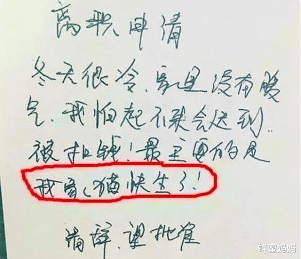 00后|“我嫌你中年油腻”，00后大学生辞职信火出圈，90后表示我服了