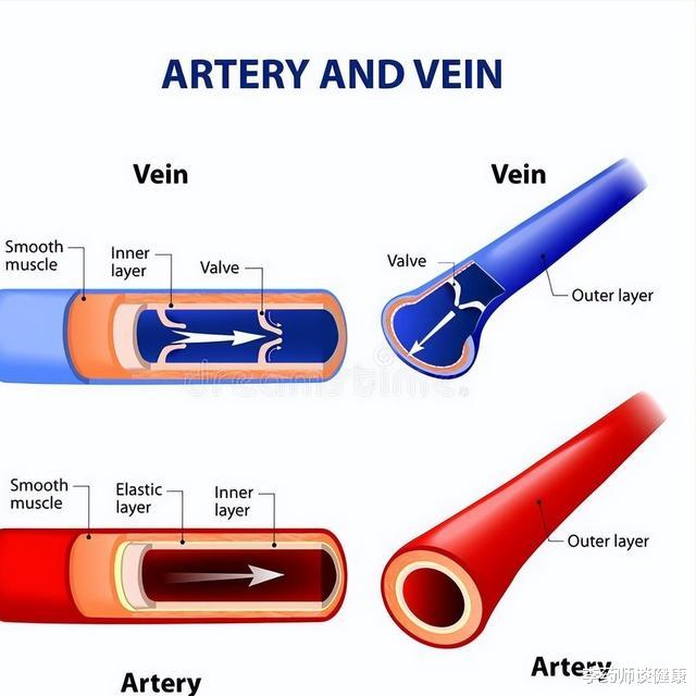 疾病|老年人腿脚水肿别忽视！需警惕的5种疾病，逐条为您讲清楚