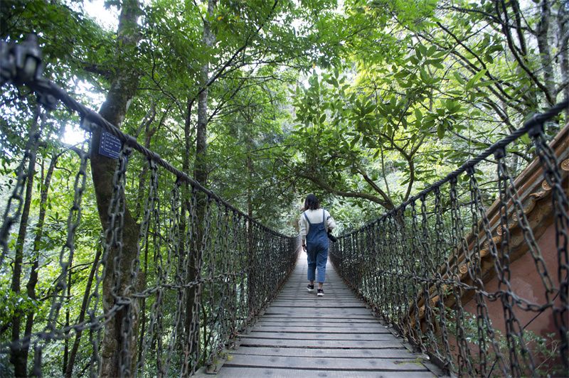 佛山|打卡楚雄山林秘境，让凉爽伴你踏上夏日旅程！