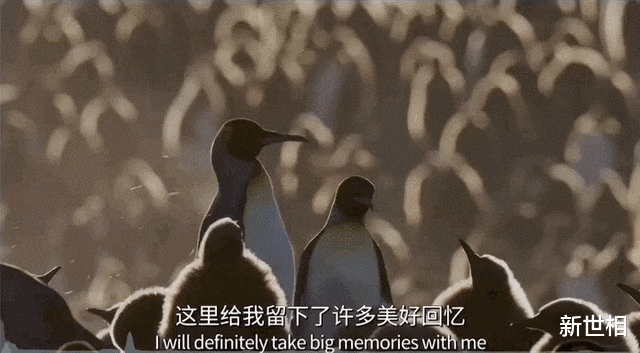 受不了了,别让她死于这场高烧