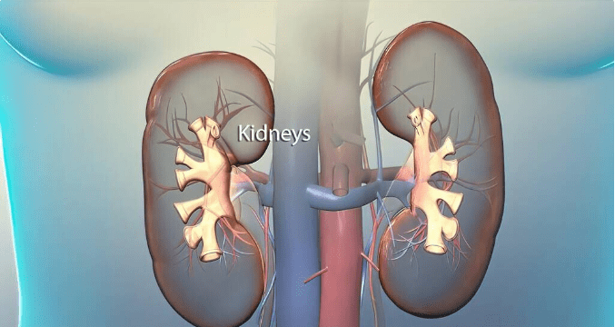 陈皮|肾病阻止肾功能恶化,最有效的是做好2点,早看早受益
