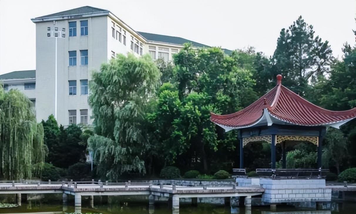 高校|安徽一高校招32名博士，超一半来自省内高校，被网友吐槽不如中学