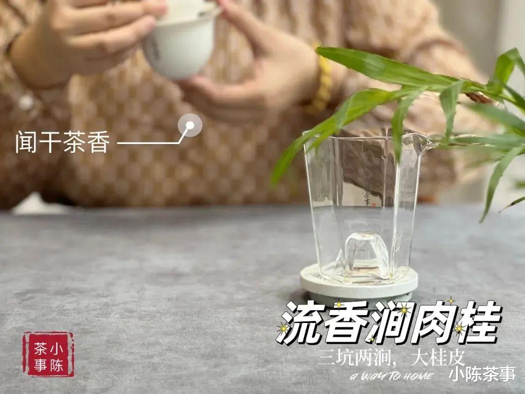 喝武夷岩茶时，为什么总有人爱喝“木本味”的尾水？是更好喝吗？