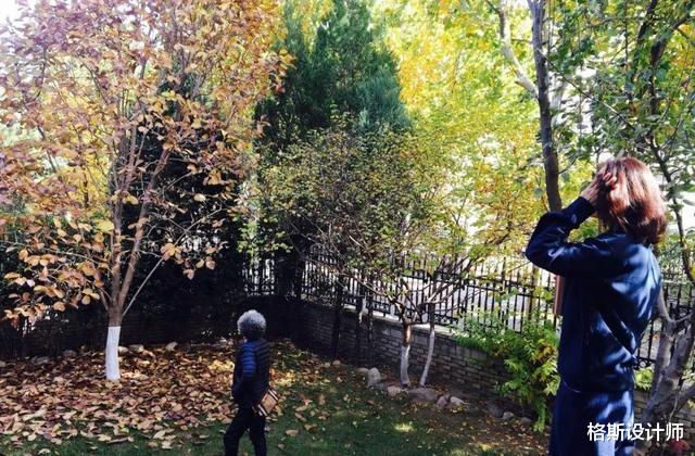 43岁殷桃在北京的豪宅,家中布满名贵花草和家具,价值超百万