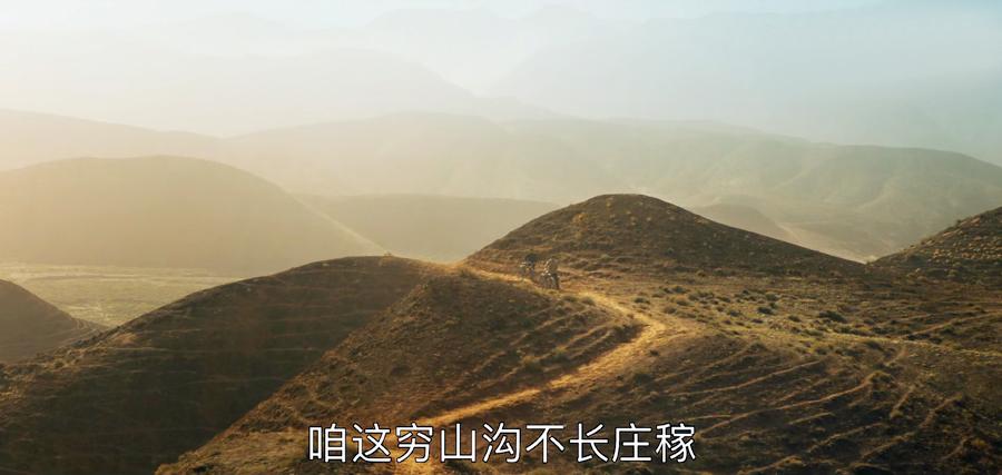 山河锦绣|《山河锦绣》口碑爆棚 西北演员再露锋芒